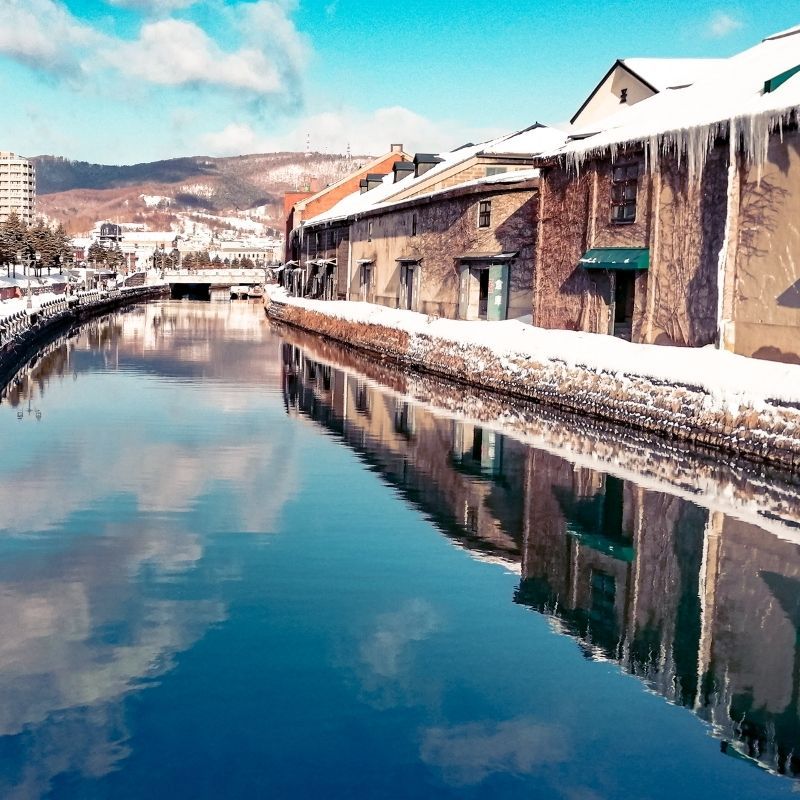 北海道TOMAMU渡假村五日遊